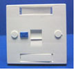 1 Port British Faceplate 