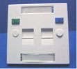 2 Port British Faceplate 