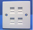 4 Port British Faceplate 