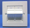 2 ports keystone faceplate