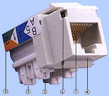 cat5e keystone jack