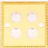 Mirror Gold Series 2 GANG 1/2 WAY SWITCH WITH CARTRGE FUSE