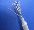 IEC 60332-1/BS 4066-1 ( Flame Test on Single Vertical Insulated Wires/Cables ) 